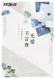 无爱不言欢封面