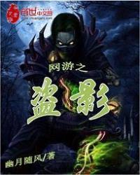 网游之盗影封面