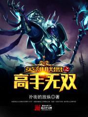 英雄联盟之高手无双封面